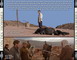 LOIN DES HOMMES